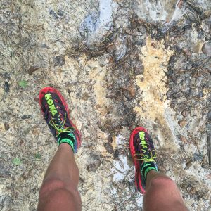 Hoka One One Speedgoat