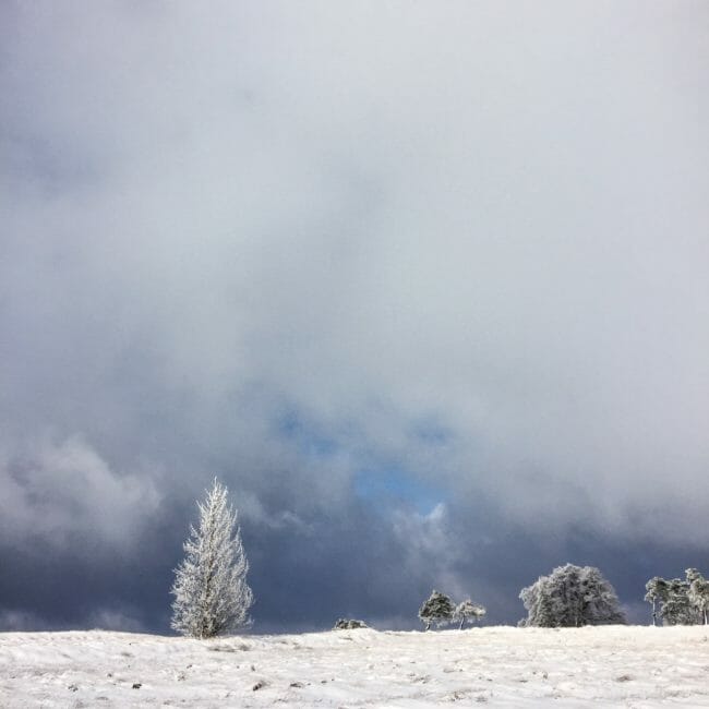 Hautes Fagnes