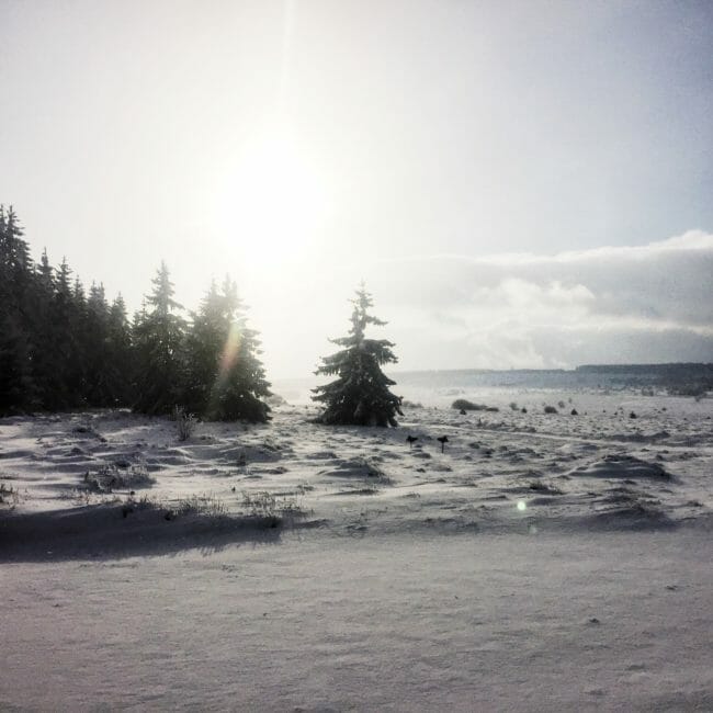 Hautes Fagnes