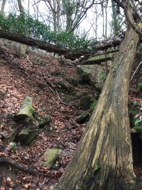 Trail La Bouquetin 2016