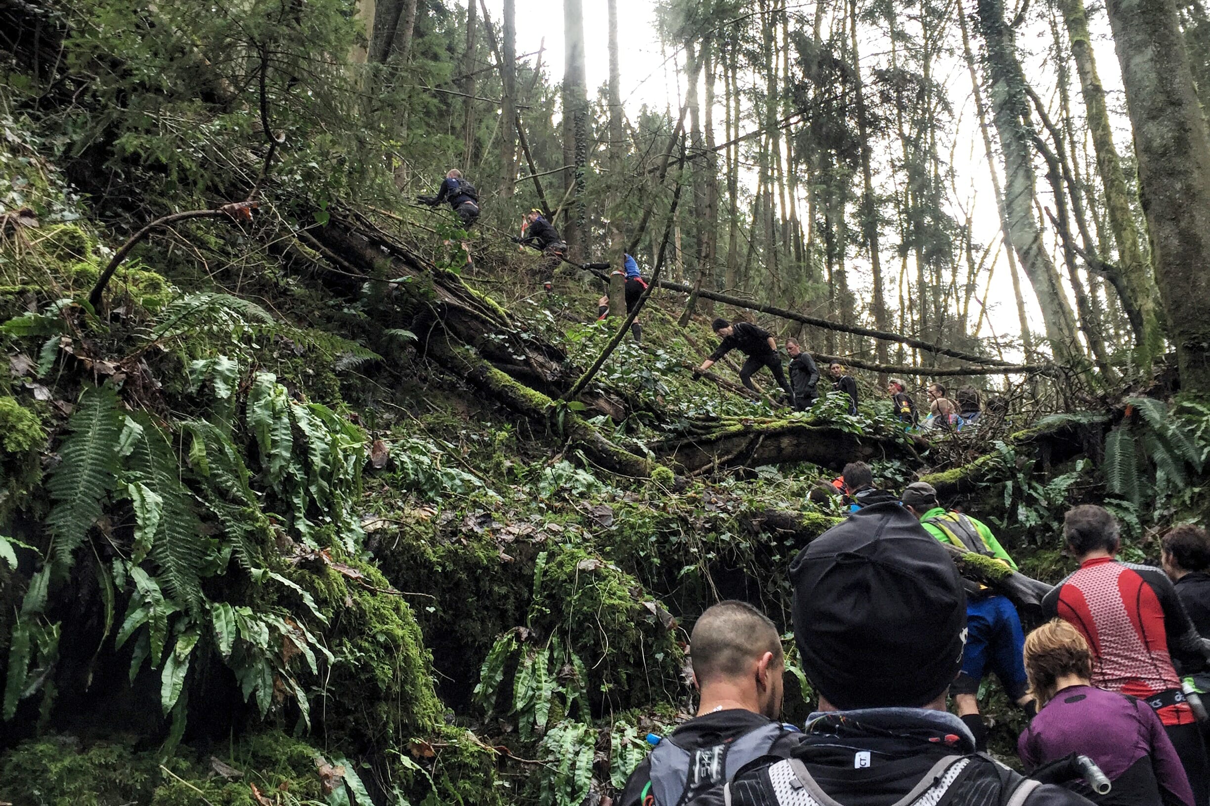 Trail La Bouquetin 2016