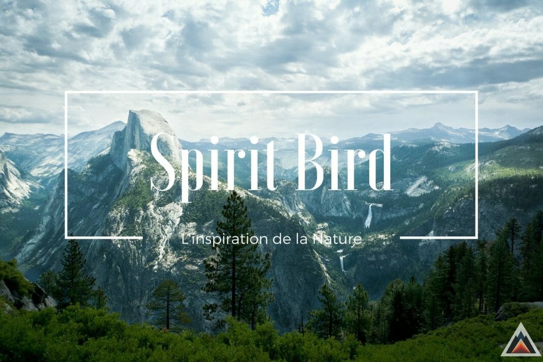 Spirit Bird