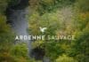Ardenne Sauvage