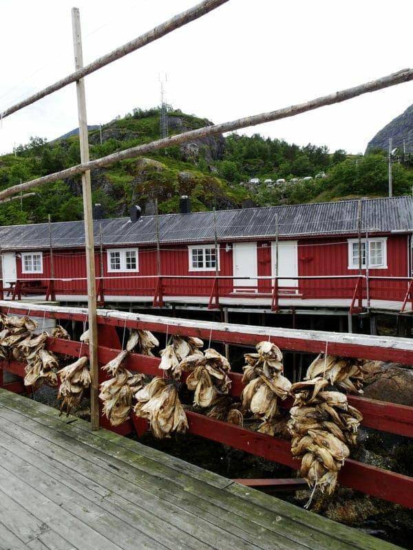 Lofoten