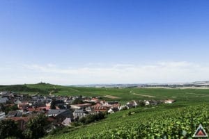 Reims entre sport et vigne
