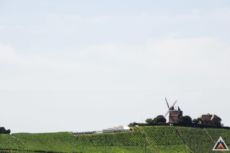 Reims entre sport et vigne