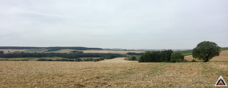 Reims entre sport et vigne