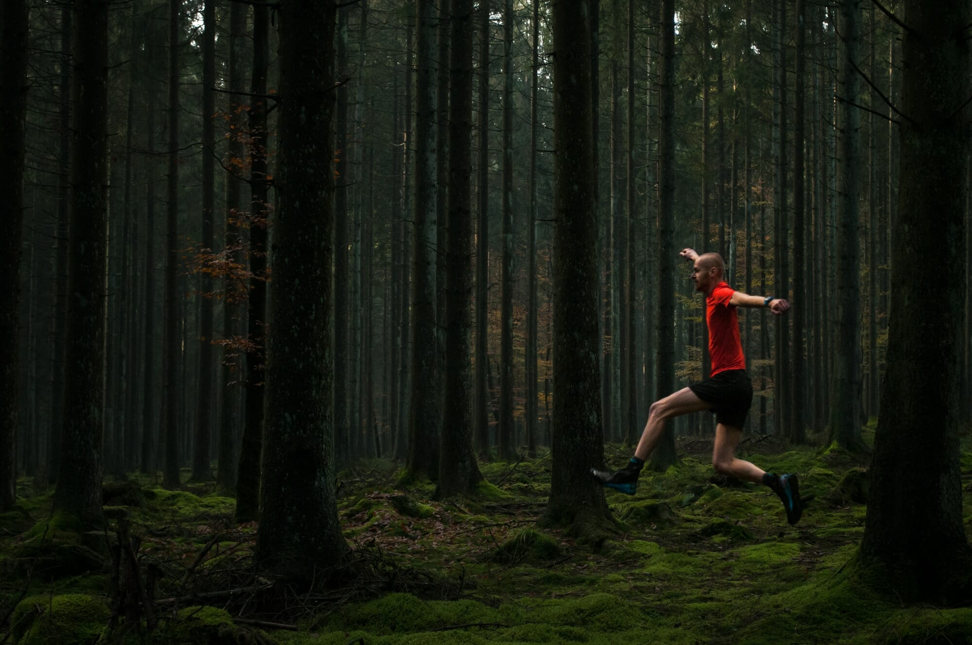 Trail en Ardenne