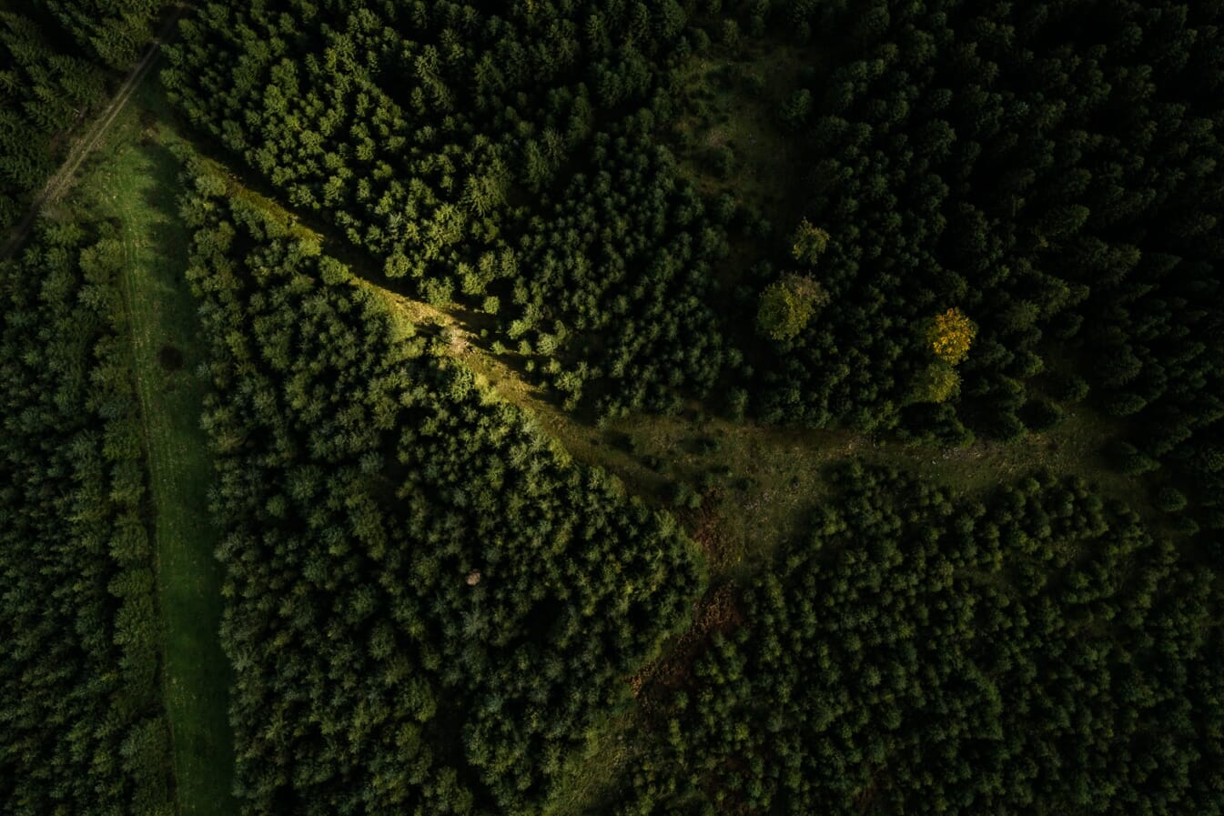 Couleurs de l'automne en Ardenne