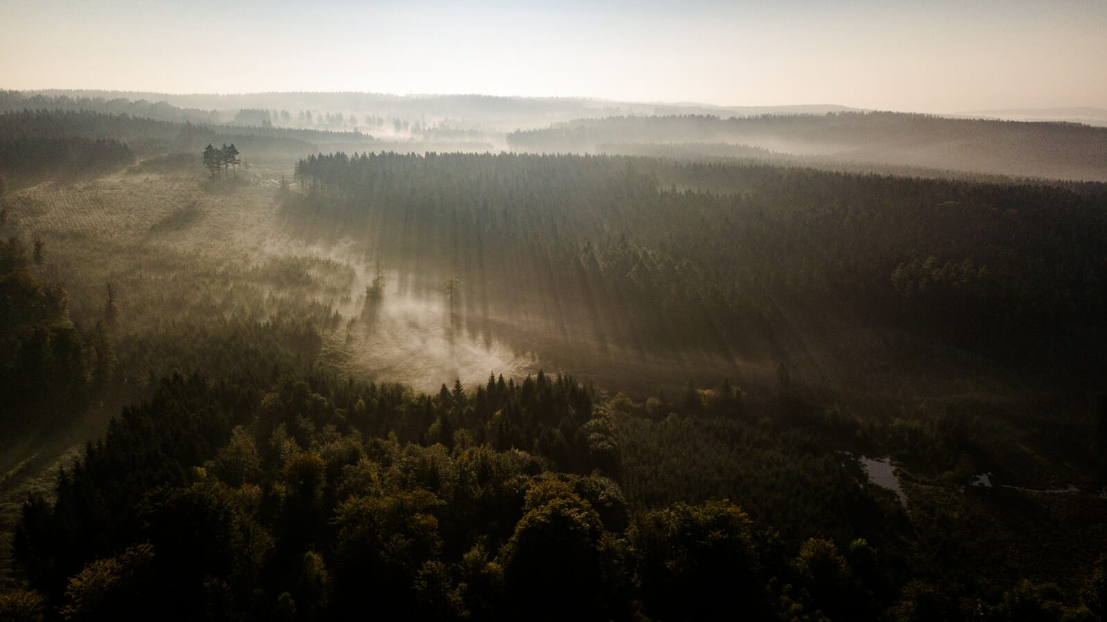 Couleurs d'automne en Ardenne