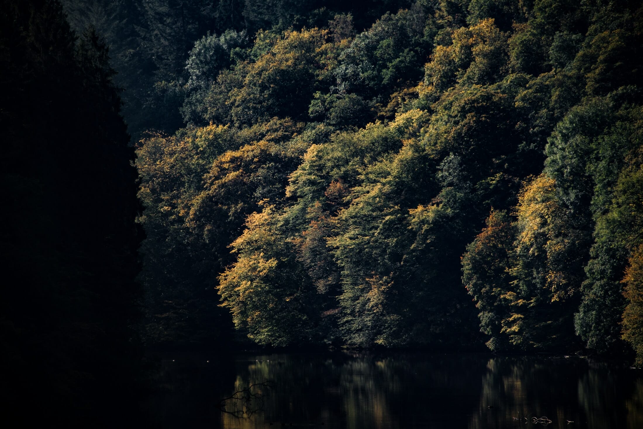 Couleurs d'automne en Ardenne