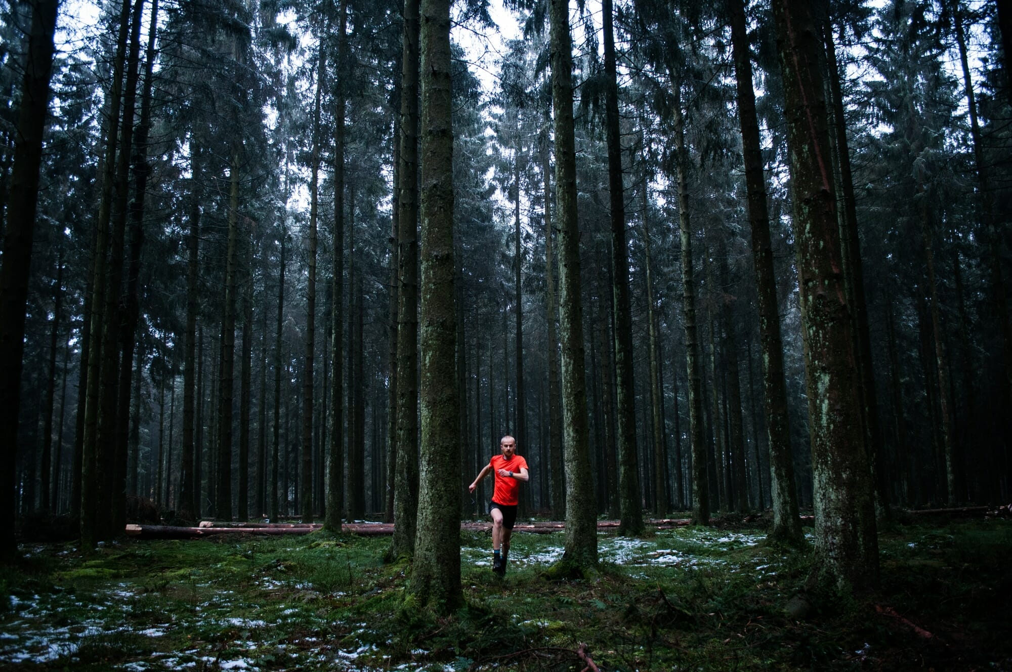 Trail en Ardenne