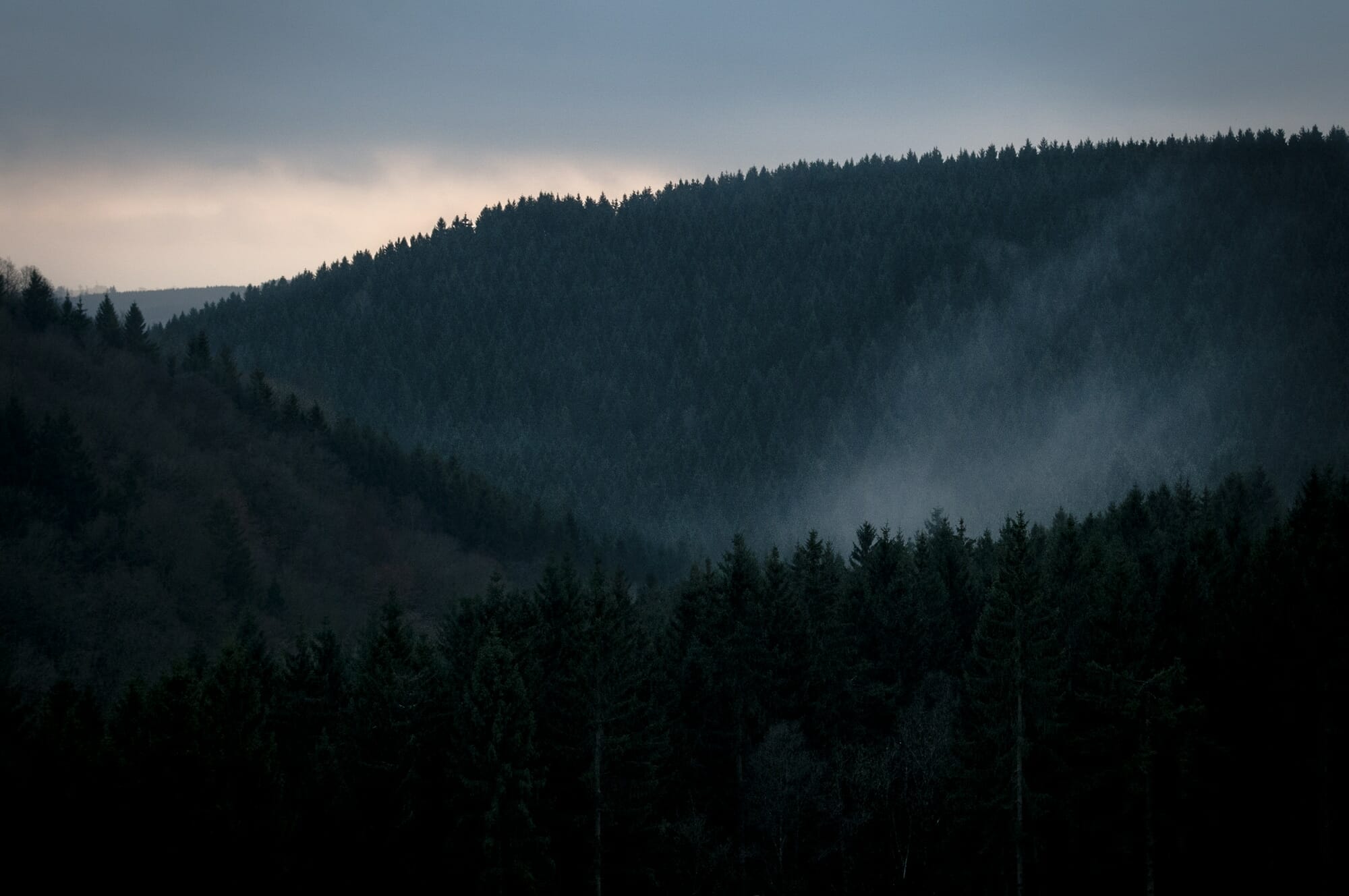 Trail en Ardenne