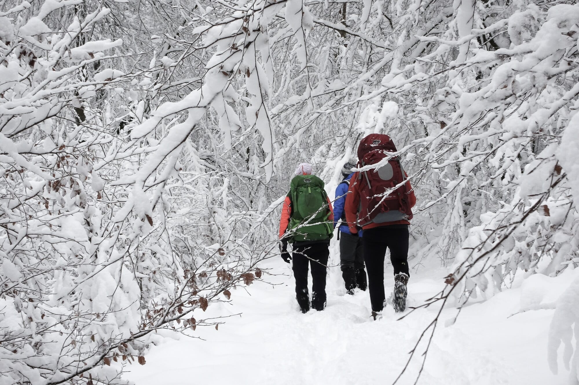 microaventure hivernale