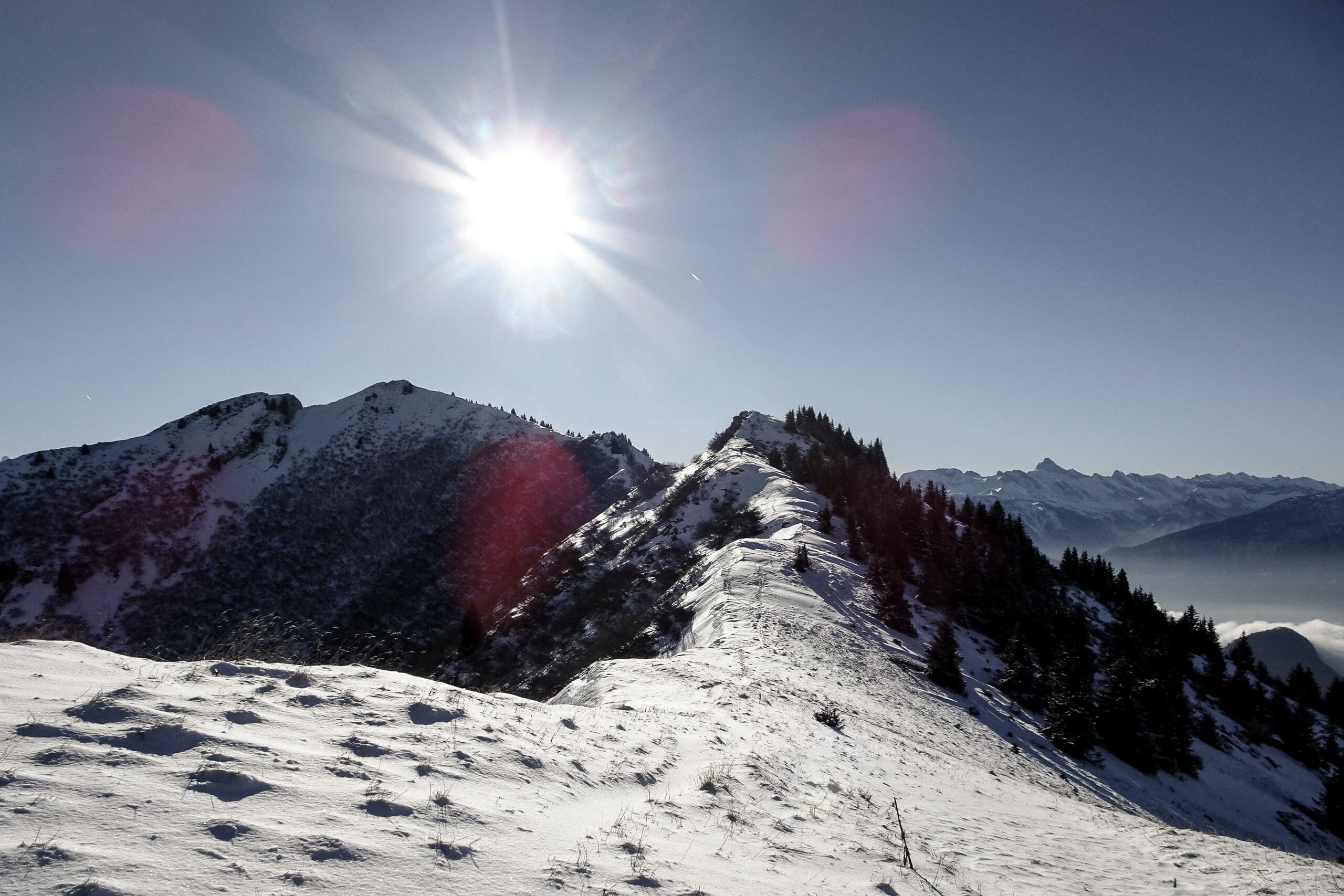 Trail Blanc Praz-de-Lys