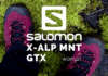 Salomon X ALP MNT GTX