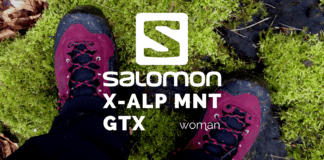 Salomon X ALP MNT GTX