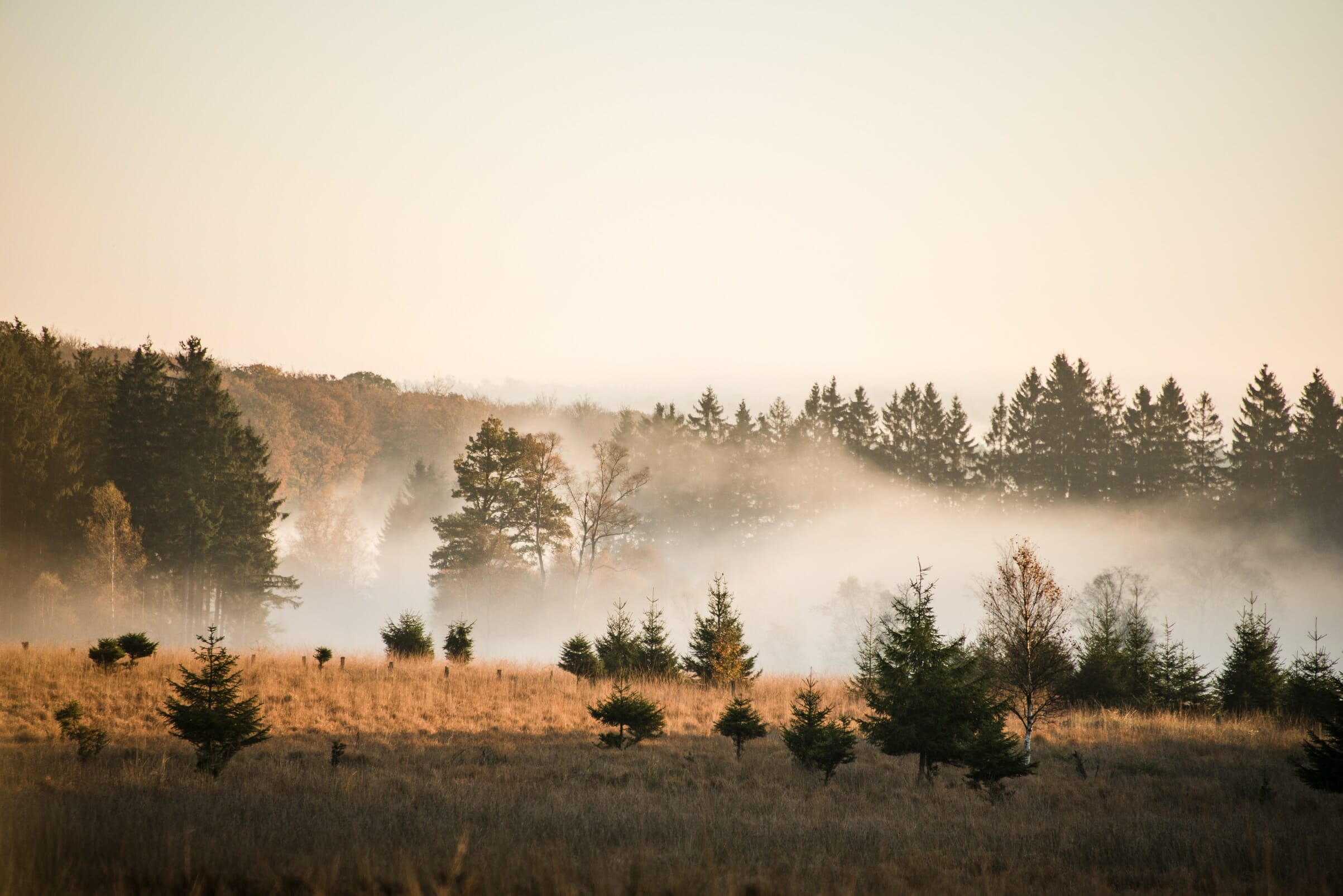 Couleurs d'automne en Ardenne