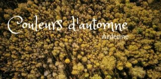 Couleurs d'automne en Ardenne