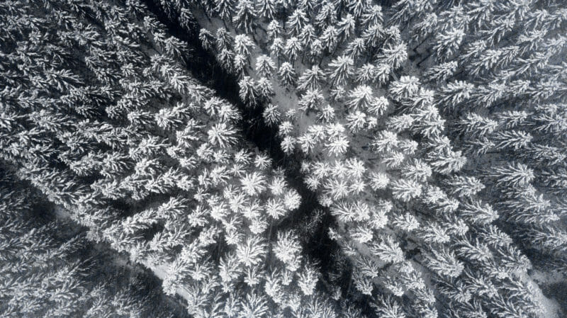 Bivouac hivernal dans les Hautes Fagnes