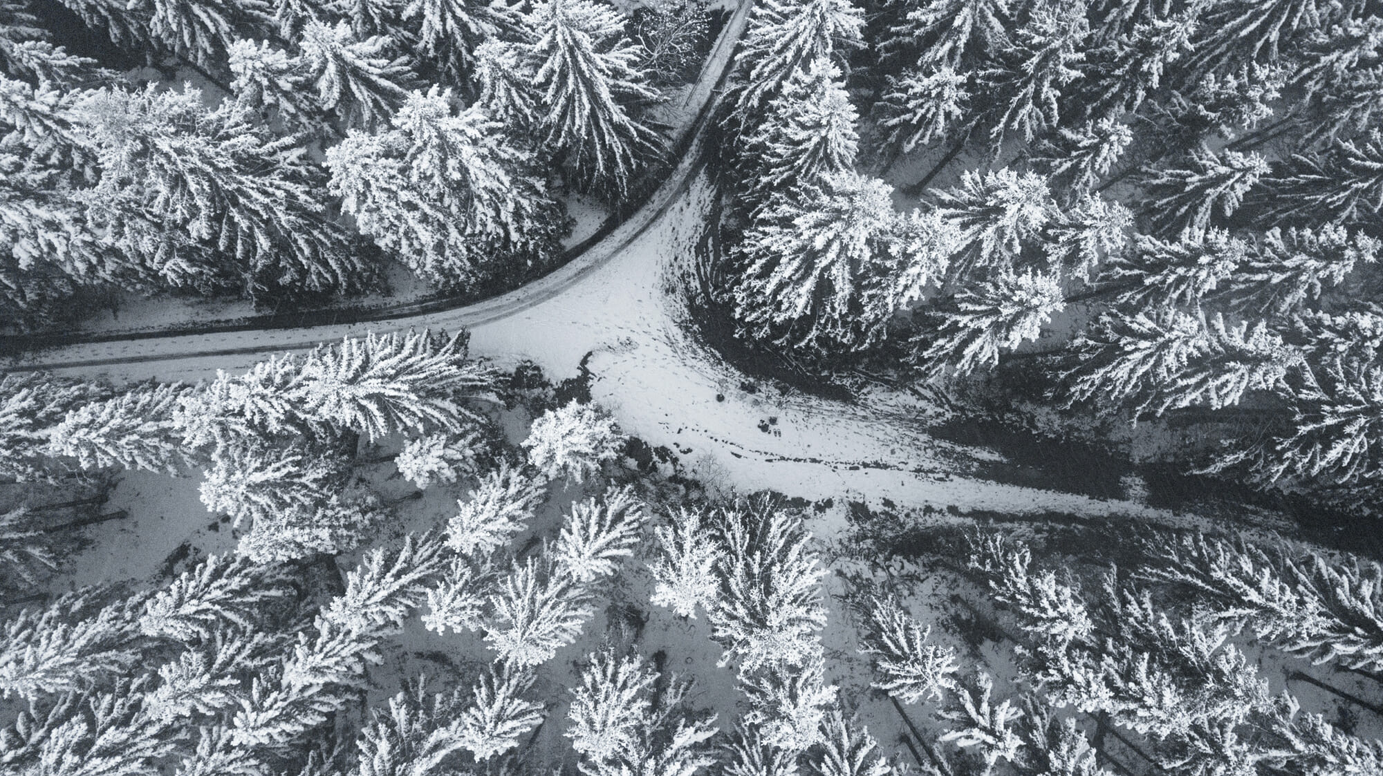 Bivouac hivernal dans les Hautes Fagnes