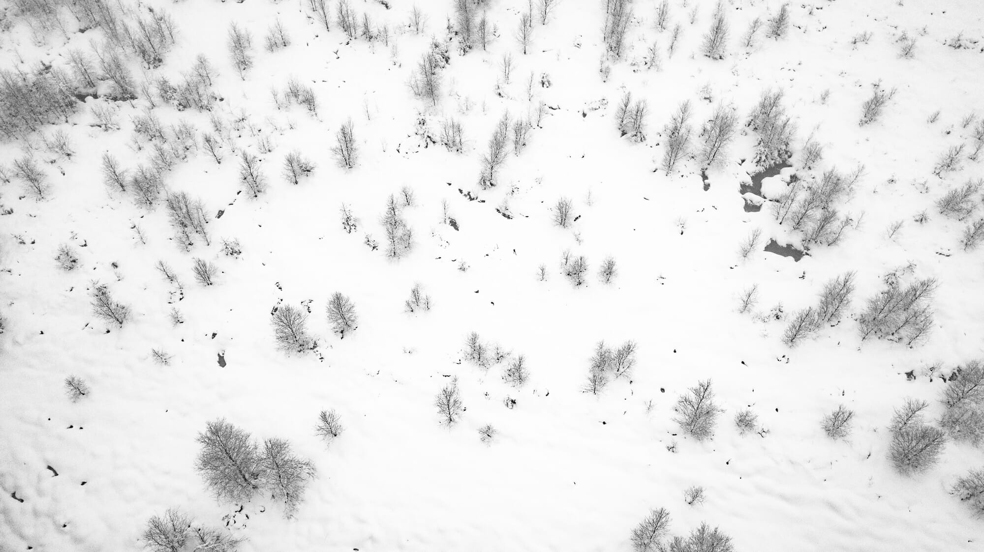 Bivouac hivernal dans les Hautes Fagnes