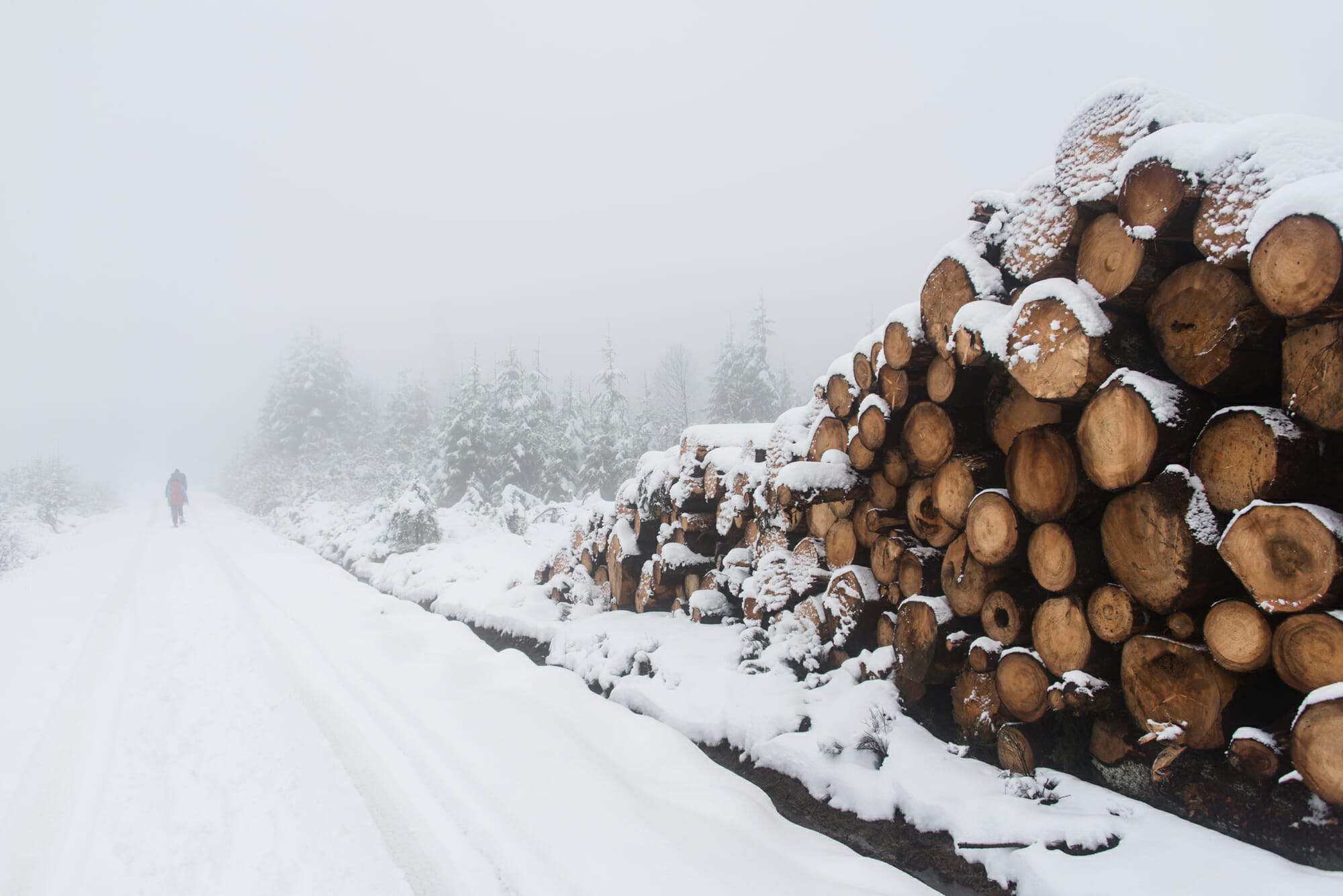 Bivouac hivernal dans les Hautes Fagnes