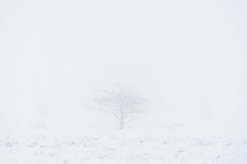 Bivouac hivernal dans les Hautes Fagnes