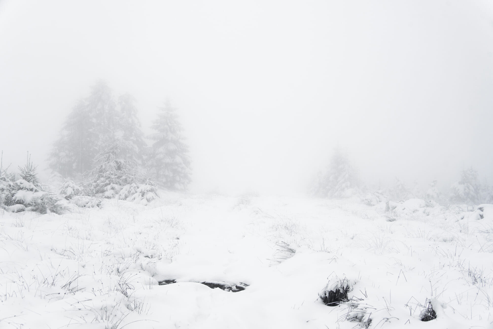 Bivouac hivernal dans les Hautes Fagnes