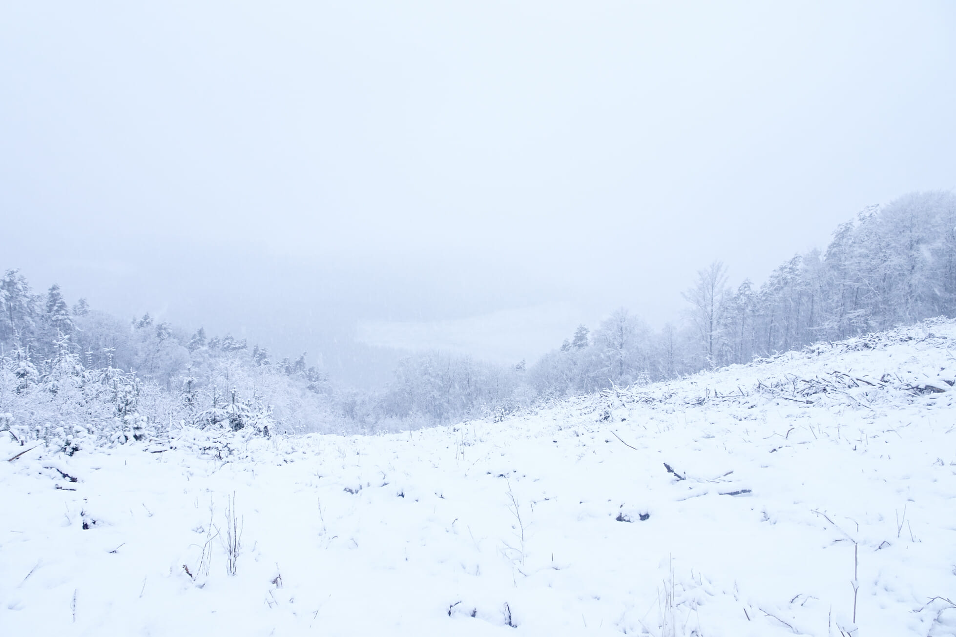 Trail et Rando en Haute Ardenne