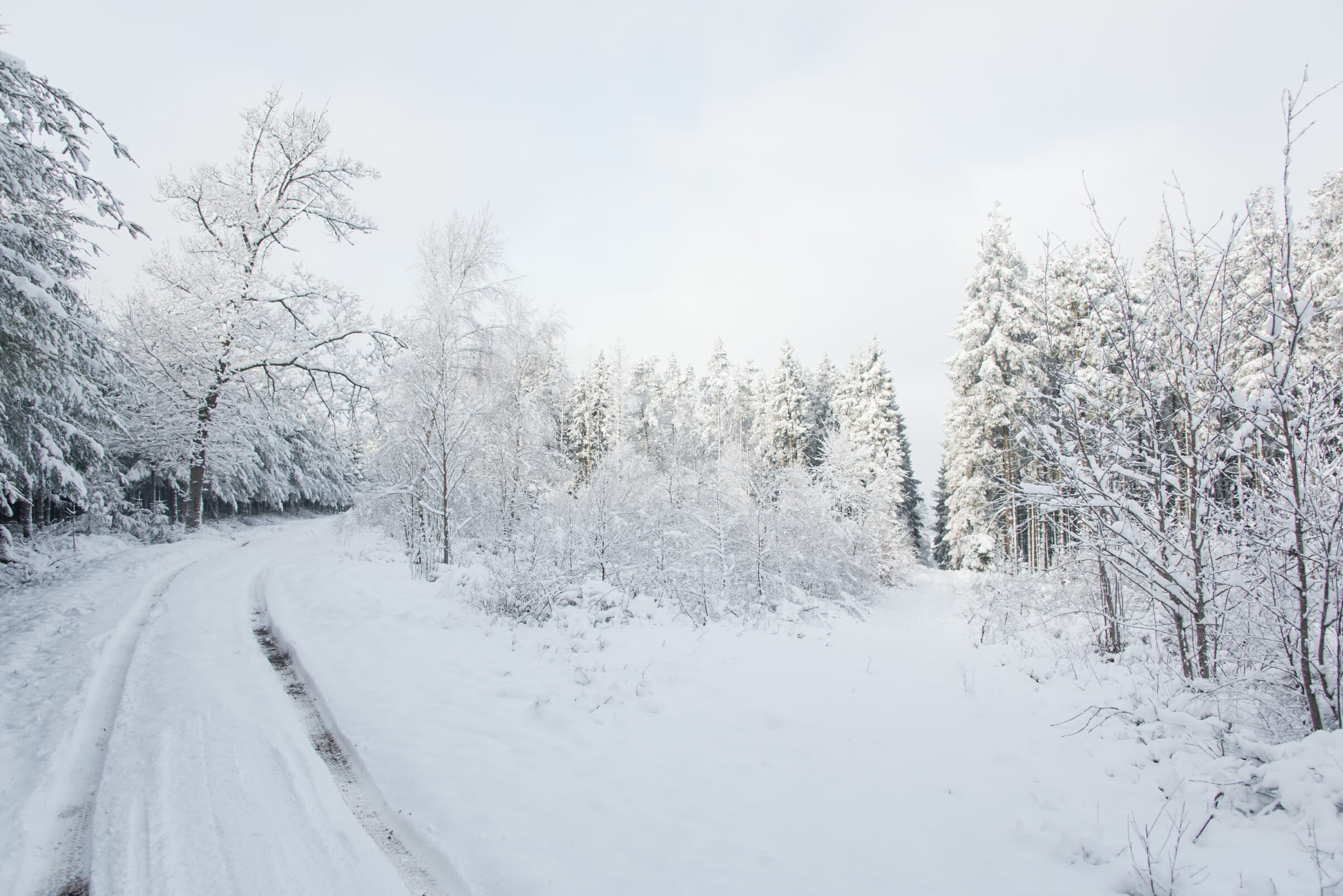 Trail et Rando en Haute Ardenne