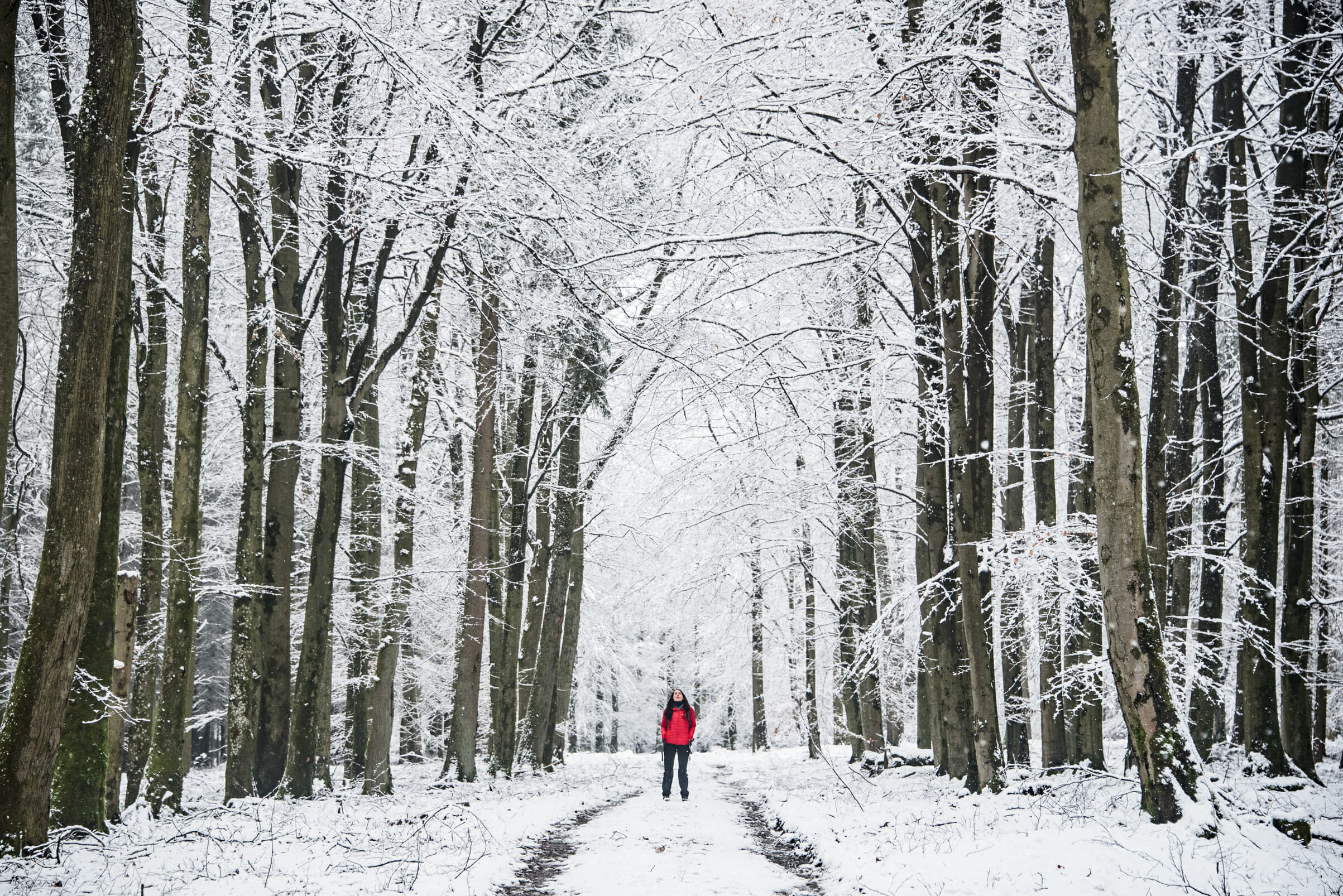 Trail et Rando en Haute Ardenne