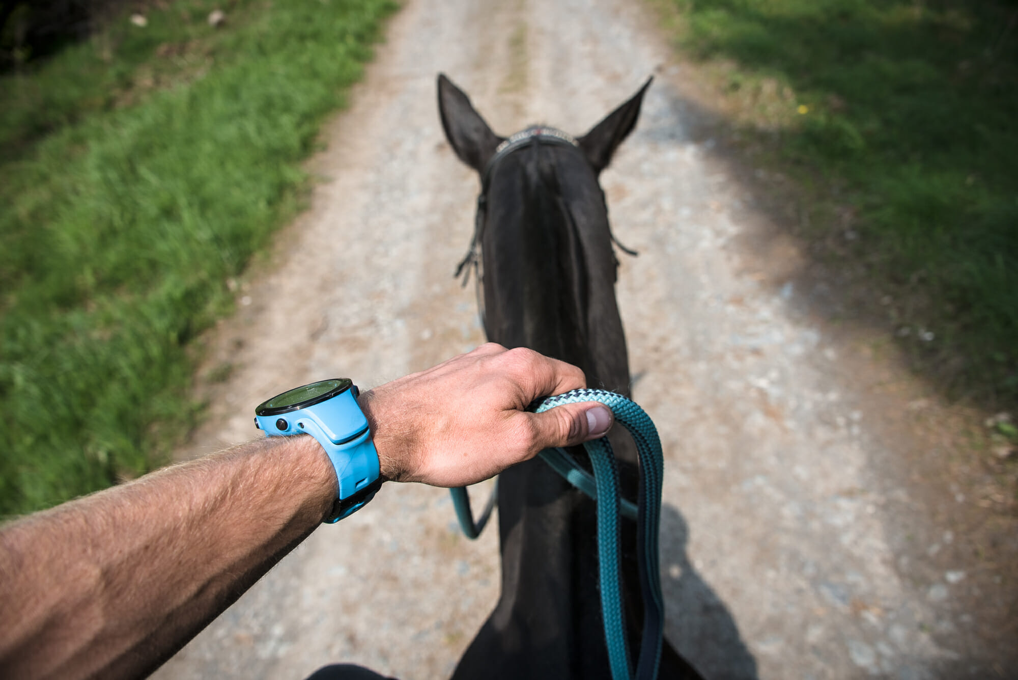 Randonner à cheval en Ardenne