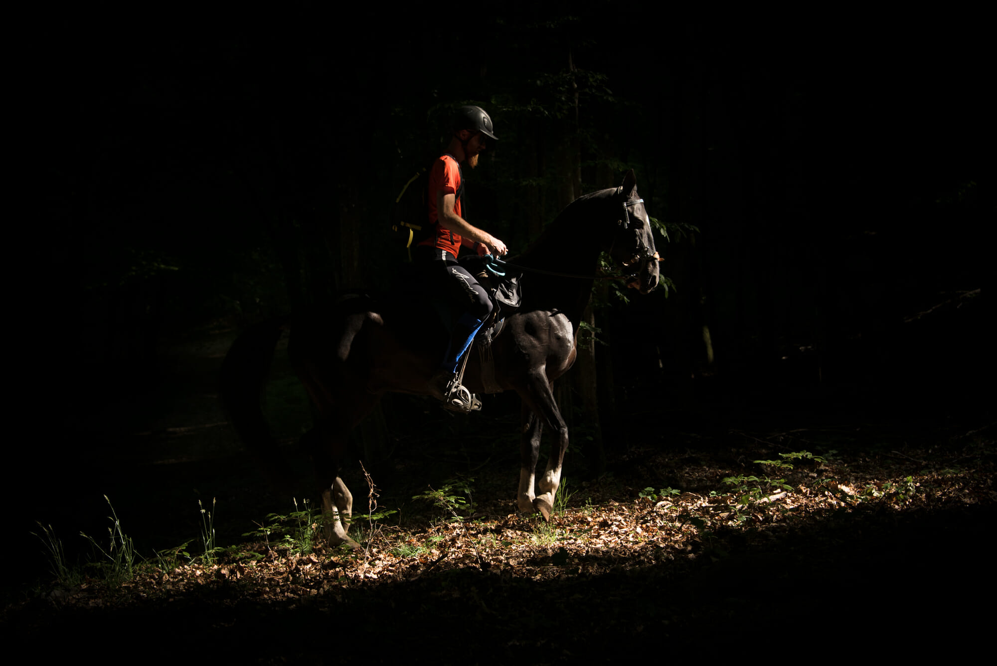 Randonner à cheval en Ardenne