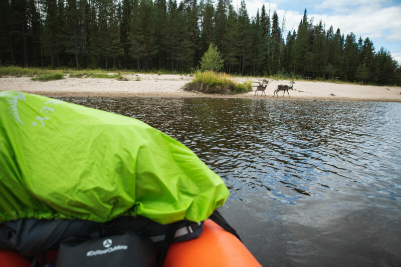 Packraft sur la rivière Oulanka - Laponie finlandaise