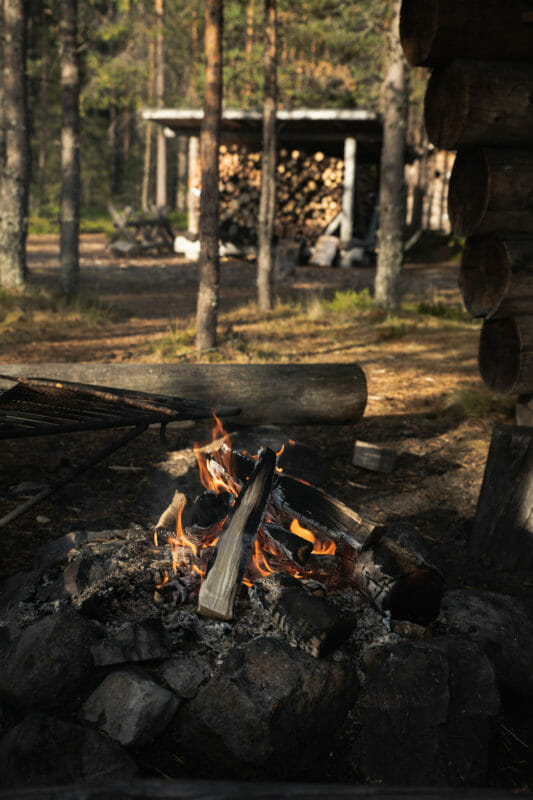 Bivouaquer au coeur de la forêt laponne