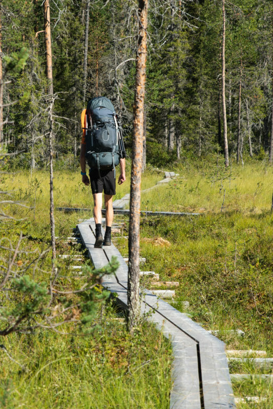 Randonner dans les parcs nationaux finlandais - Itinéraire de 7 jours en Laponie, Bivouaquer au coeur de la forêt laponne