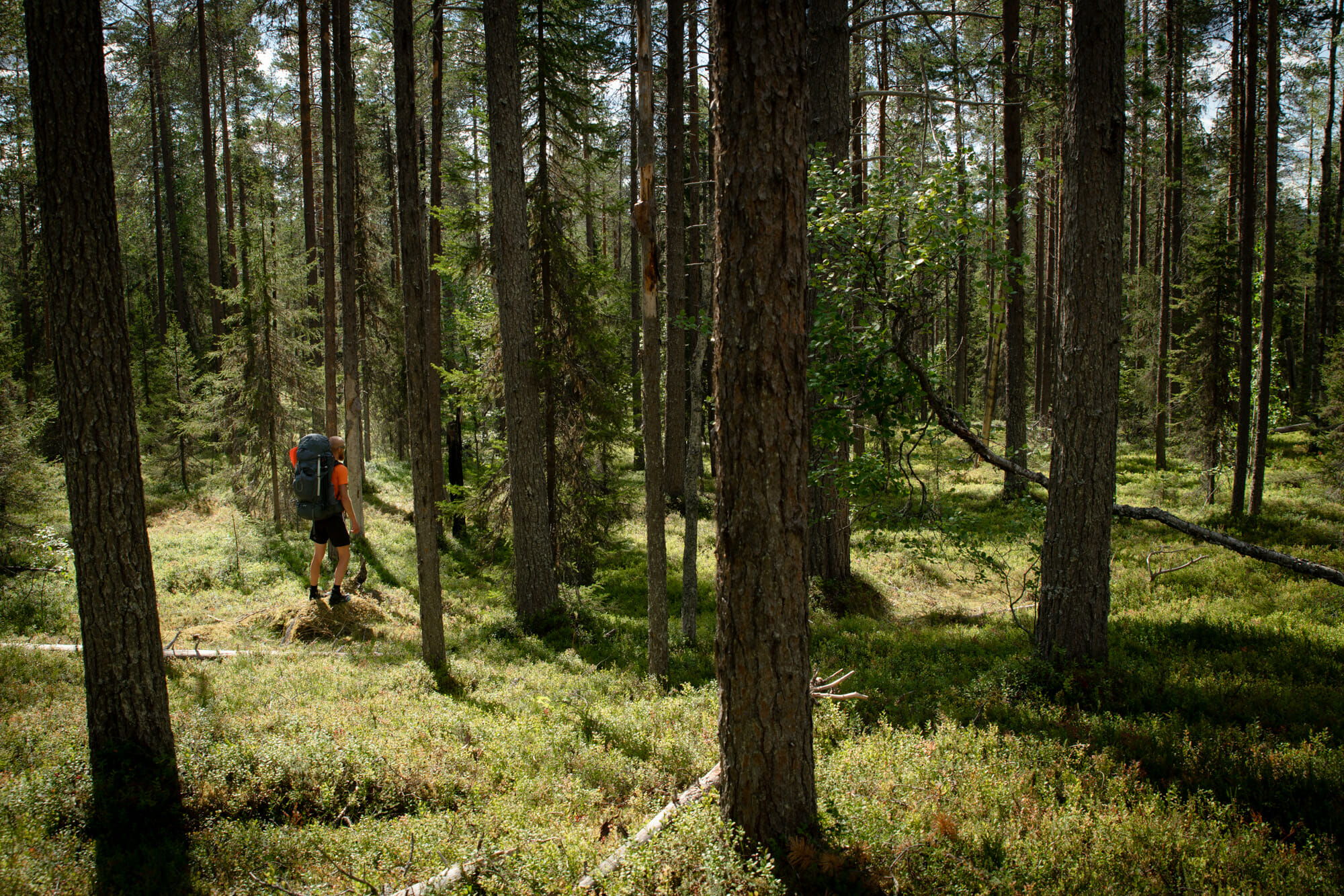 Packraft sur la rivière Oulanka - Laponie finlandaise