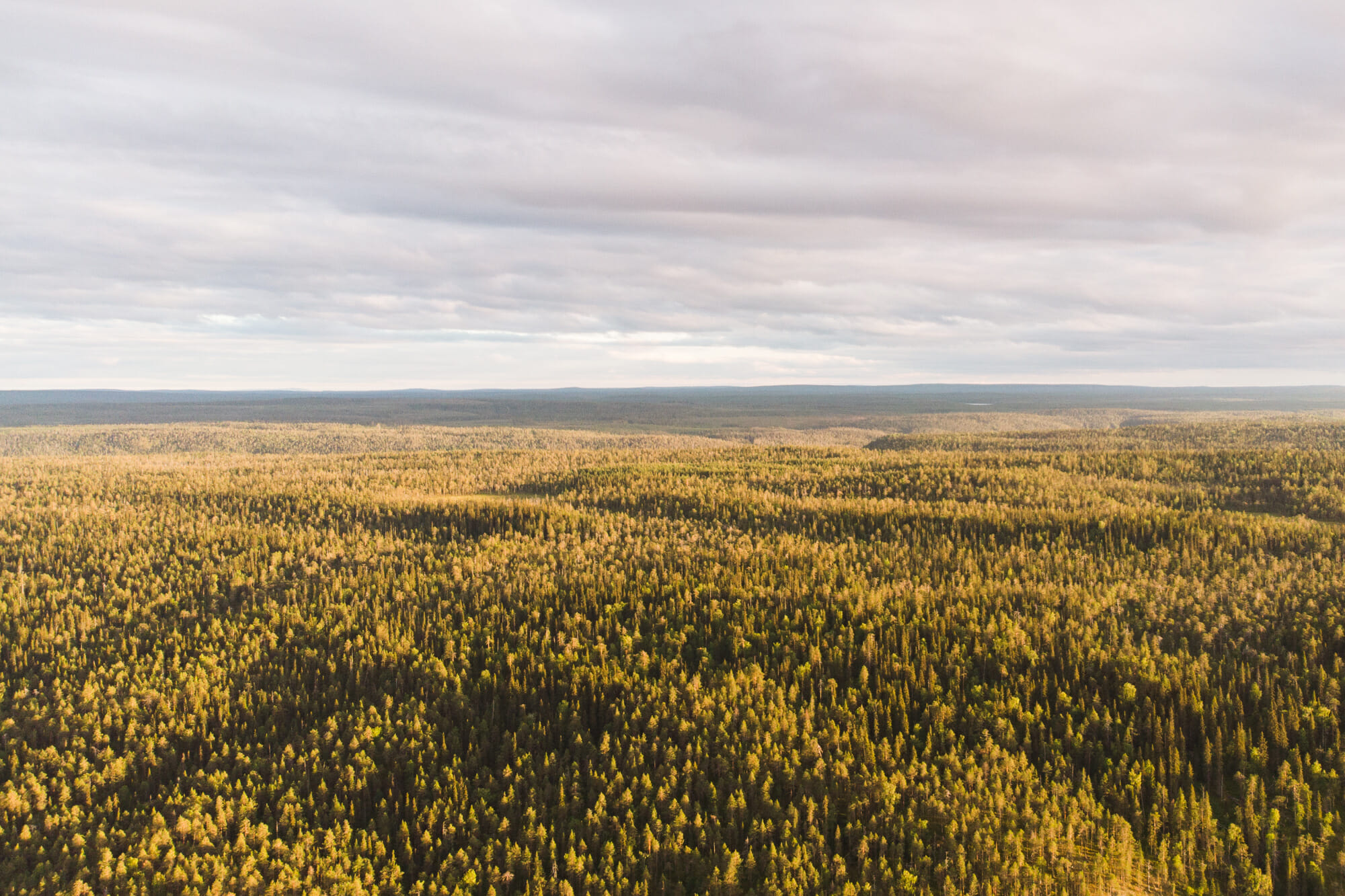 Packraft sur la rivière Oulanka - Laponie finlandaise