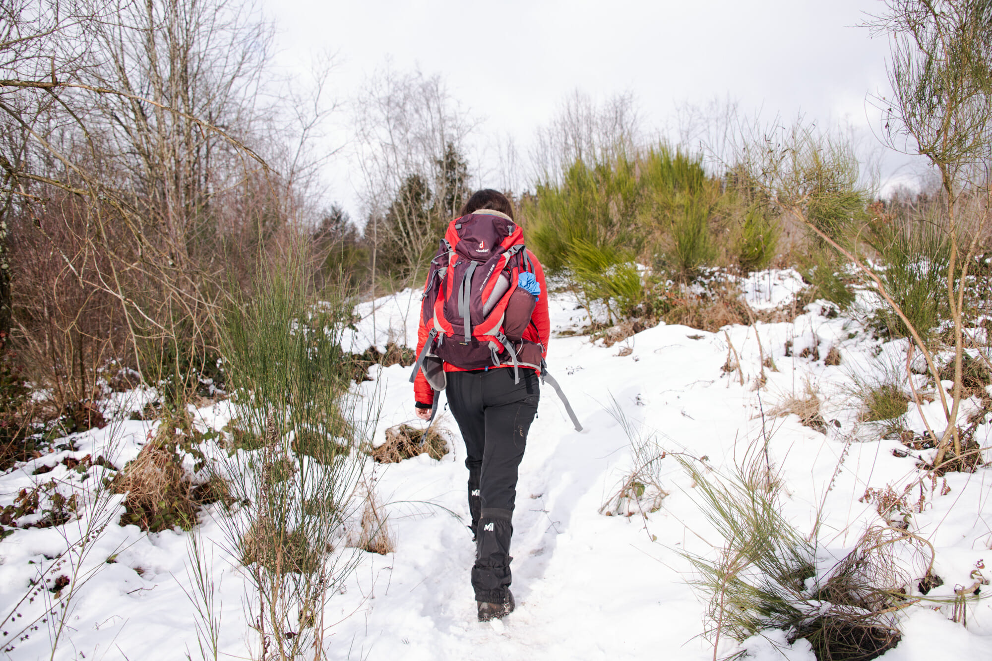 Randonnée hivernale au départ de la brasserie Chouffe