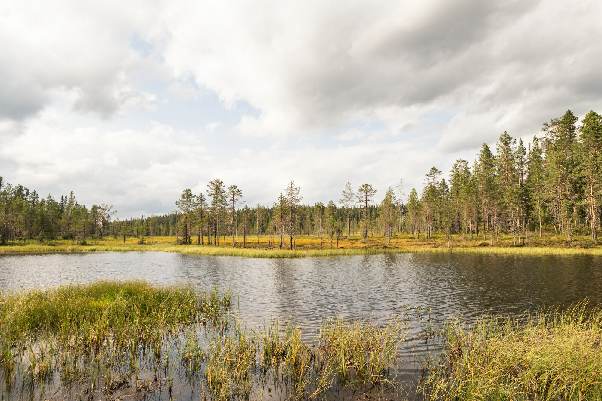 Rando dans le parc national de Riisitunturi en Laponie finlandaise