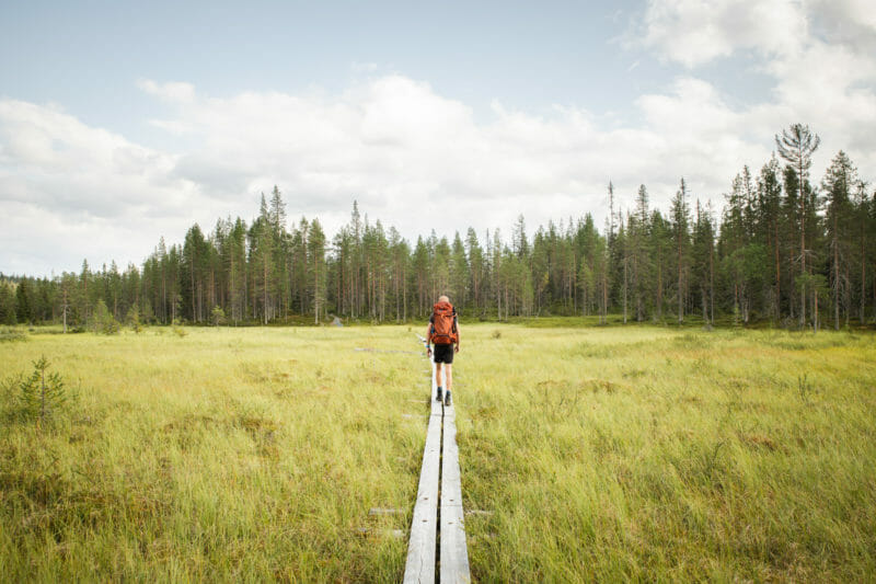 Randonnée dans le parc national de Riisitunturi en Laponie finlandaise
