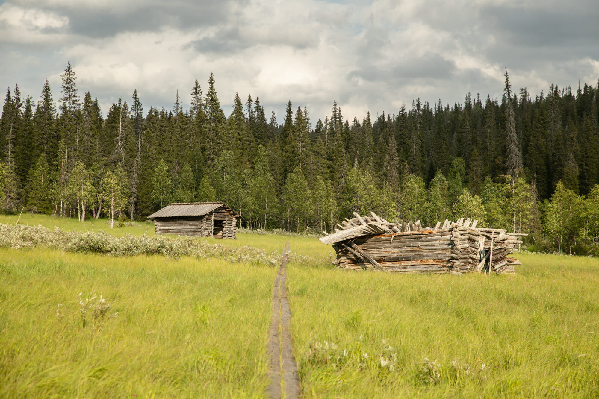 Rando dans le parc national de Riisitunturi en Laponie finlandaise