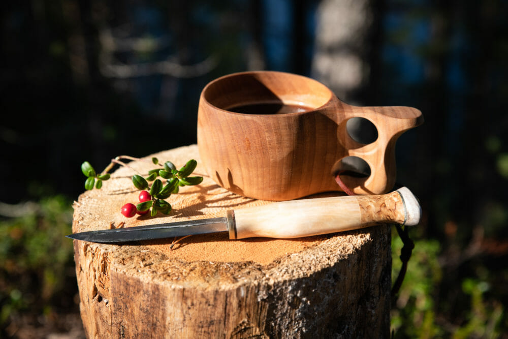 Kuksa et Puuko en Laponie