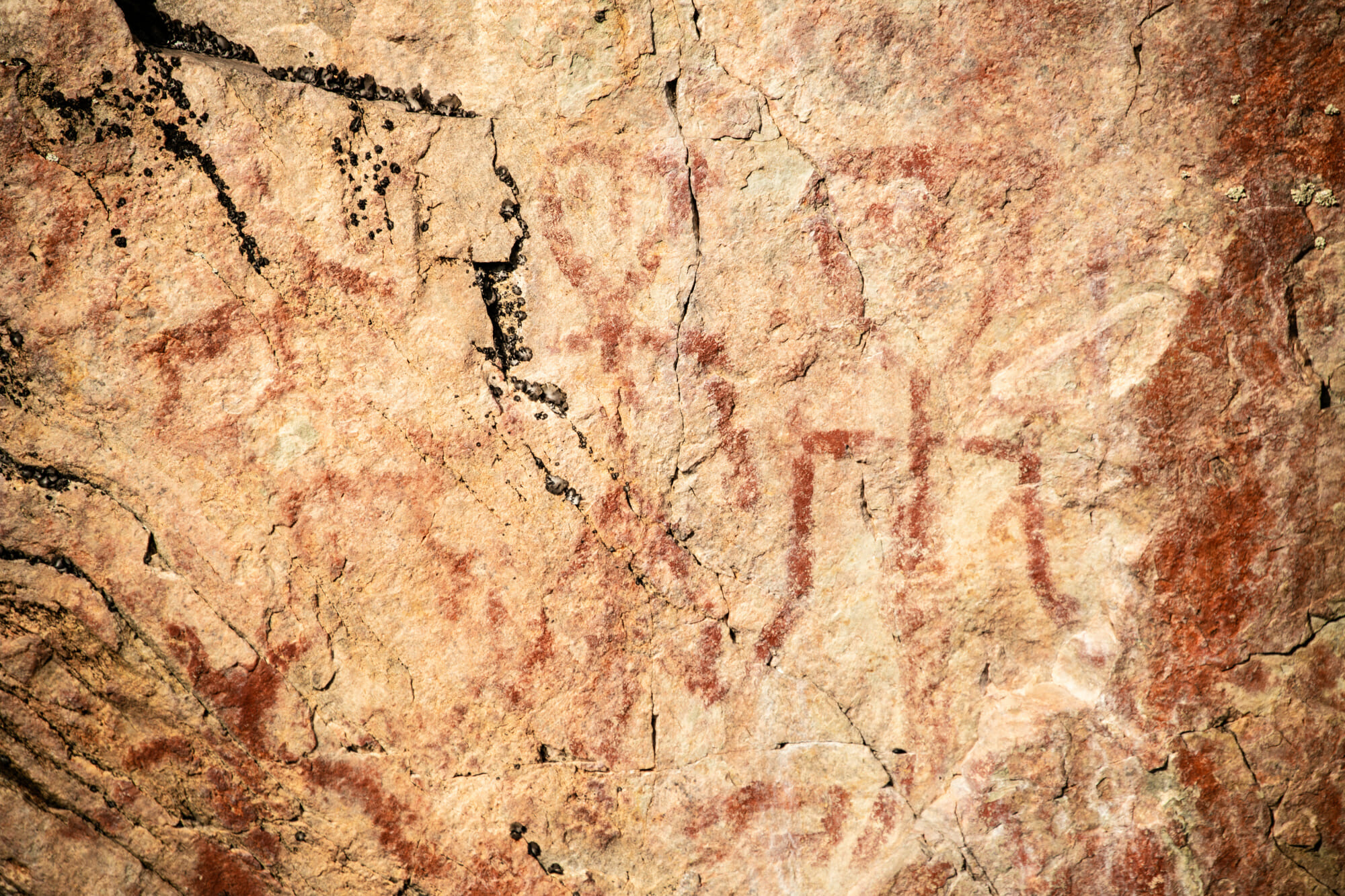 Peintures rupestres de Värikallio dans le parc national de Hossa