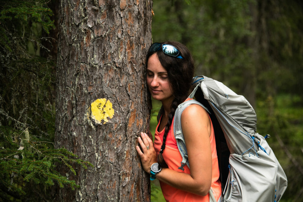 Femme arbre laponie