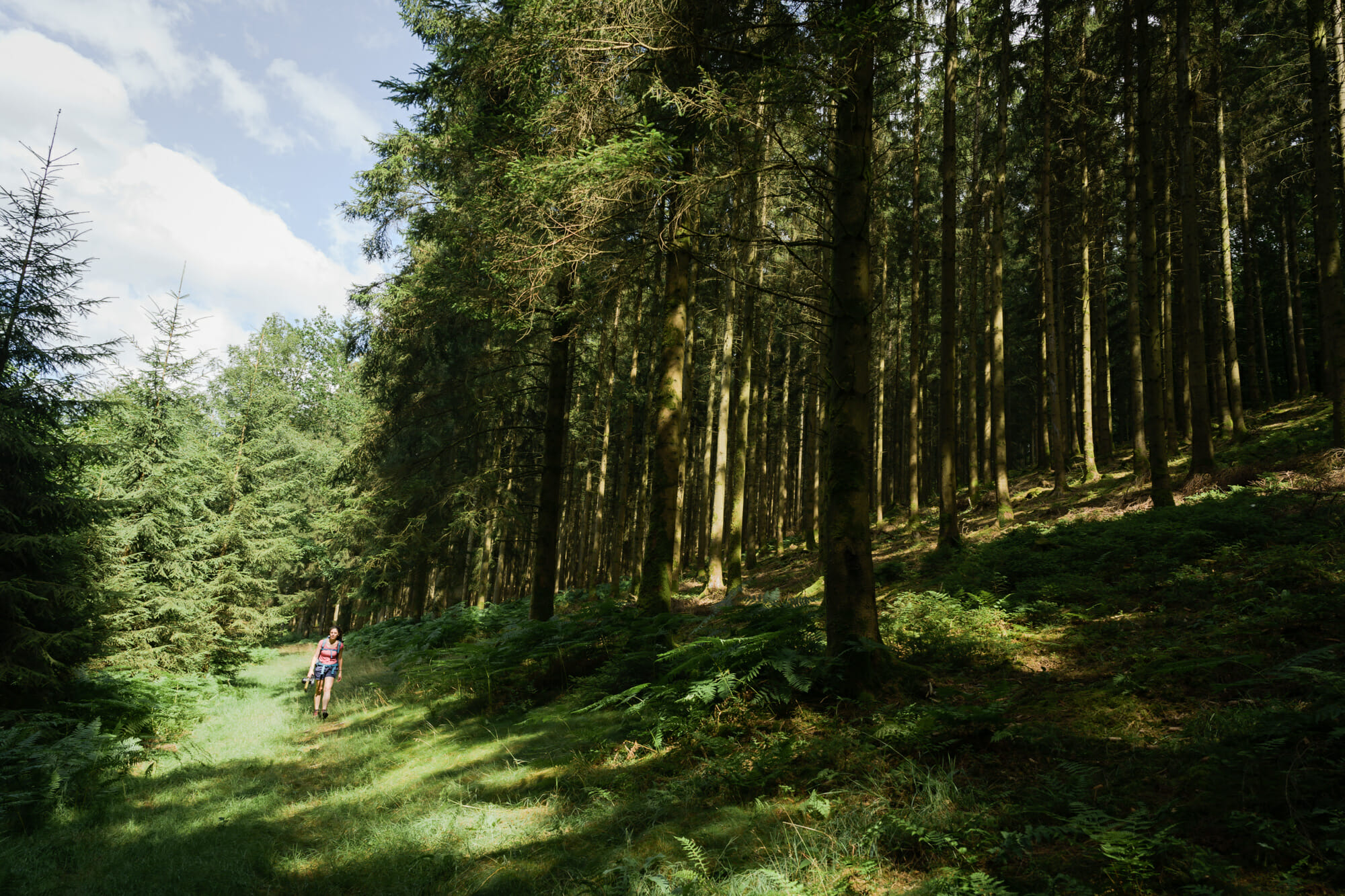 Randonneuse dans le massif de la Croix Scaille en Ardenne namuroise (Province de Namur)