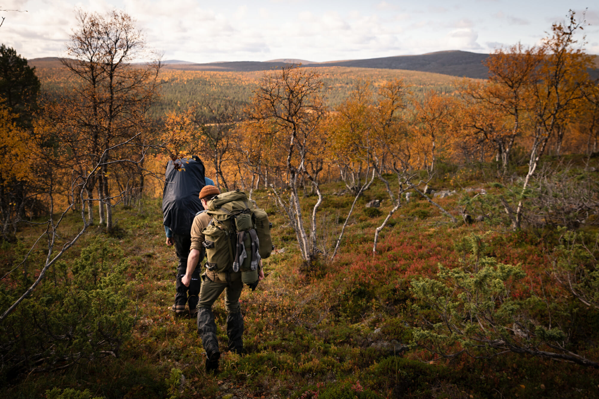 Zone sauvage d'Hammastunturi en Laponie finlandaise