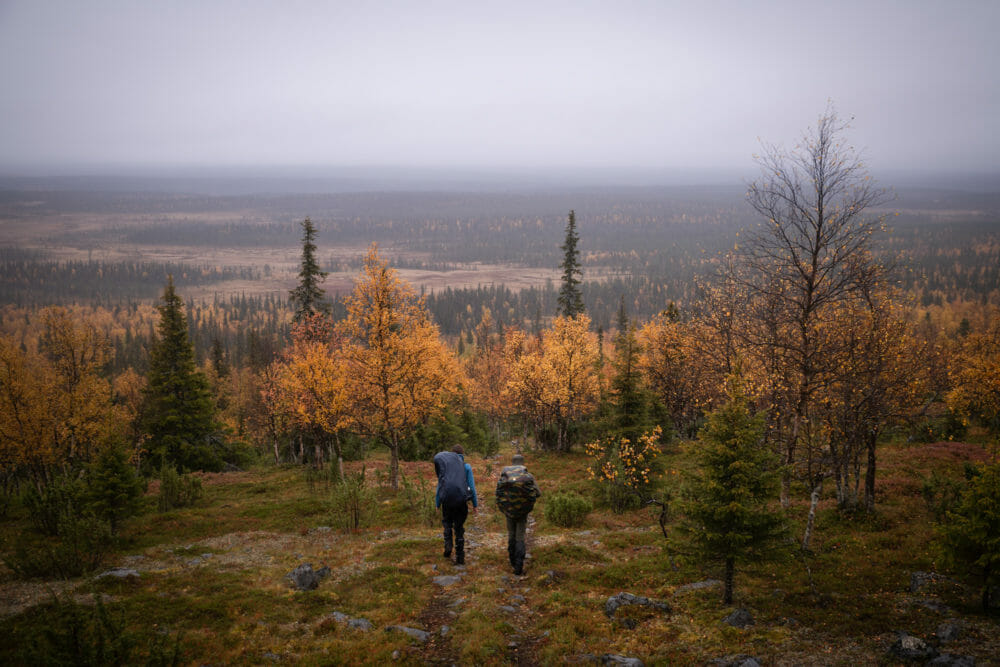 Randonneurs en Laponie finlandaise