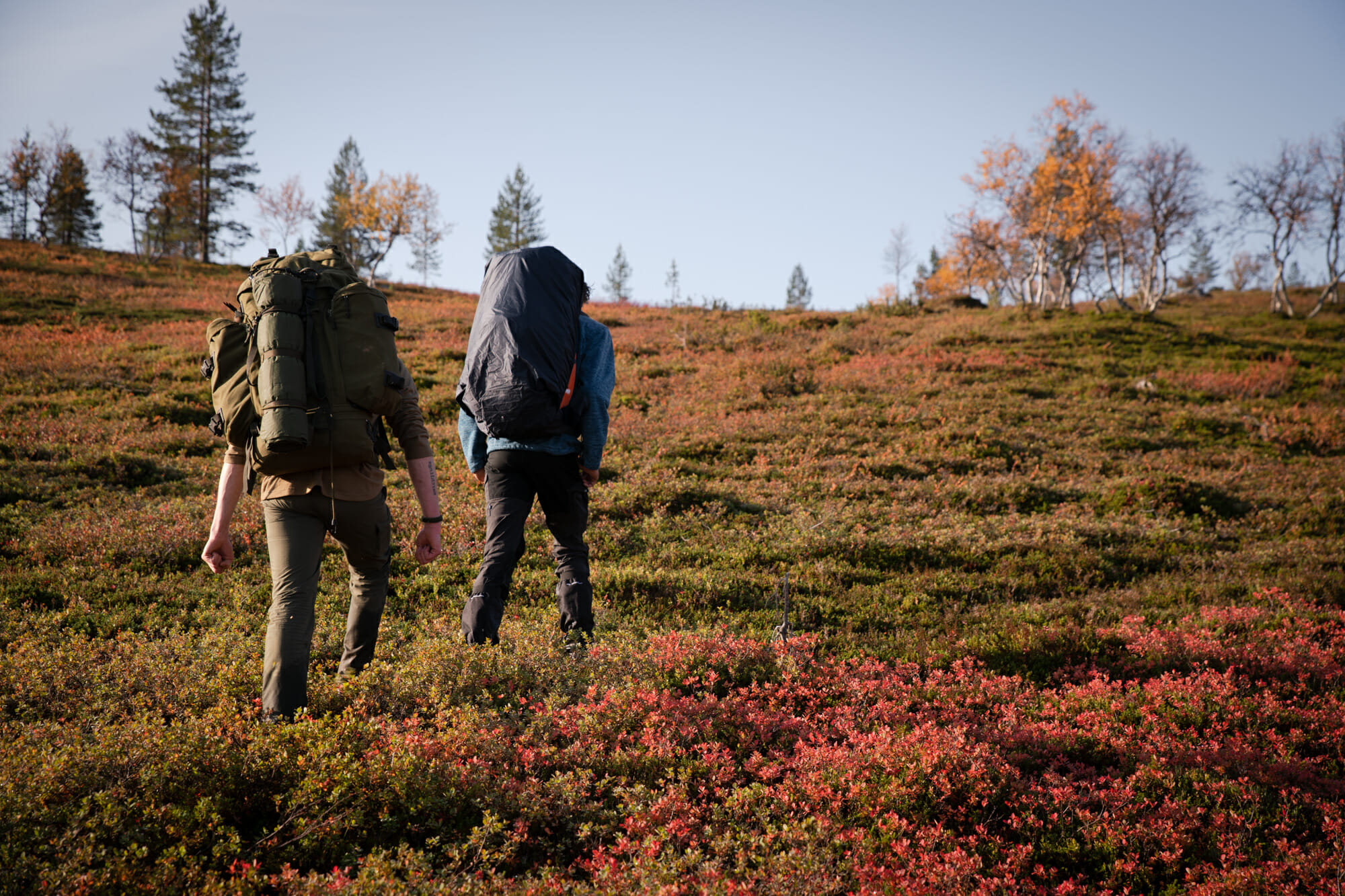 Deux randonneurs dans la zone sauvage de Hammastunturi en Laponie finlandaise